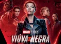 Viúva Negra