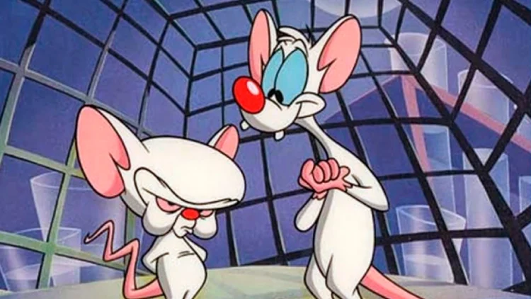Pinky é o verdadeiro gênio em Pinky e o Cérebro (teoria) 40 Pinky e o Cérebro
