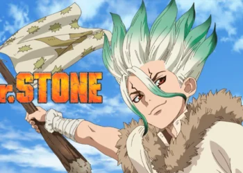 Dr. Stone
